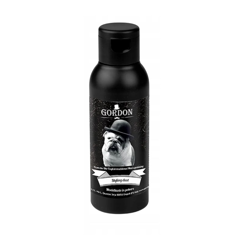 GORDON Styling dust Powder Volumizing /10g
